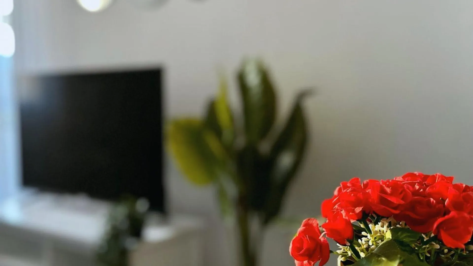 Cosy Palm Beach, Studio Pres De La Mer Et De La Croisette Cannes Francie